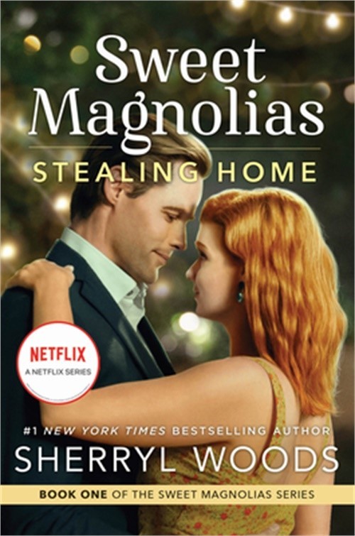 Stealing Home (Paperback or Softback)