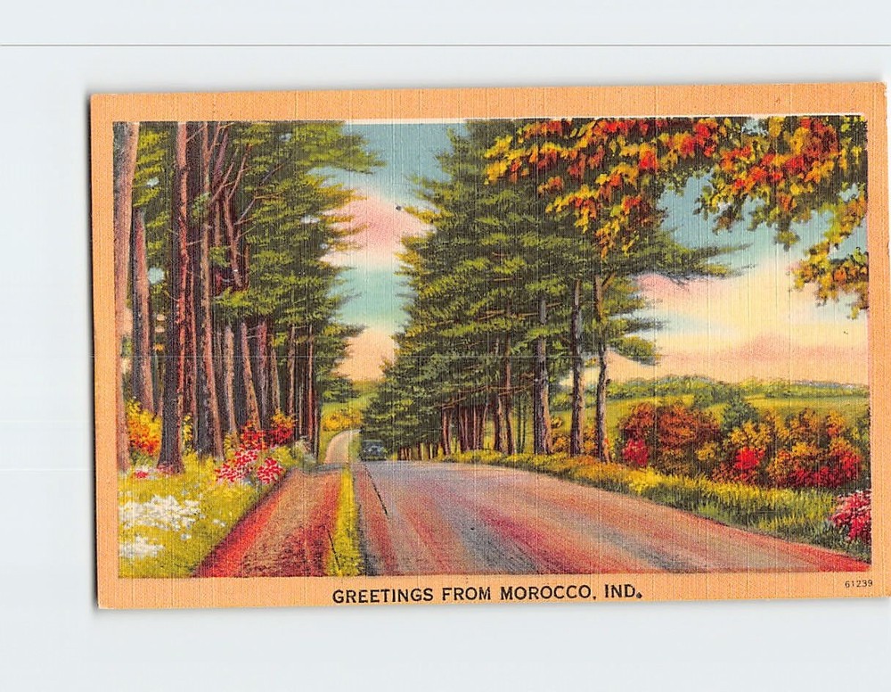 Postcard Tree Lined Country Road Greetings from Morocco Indiana USA