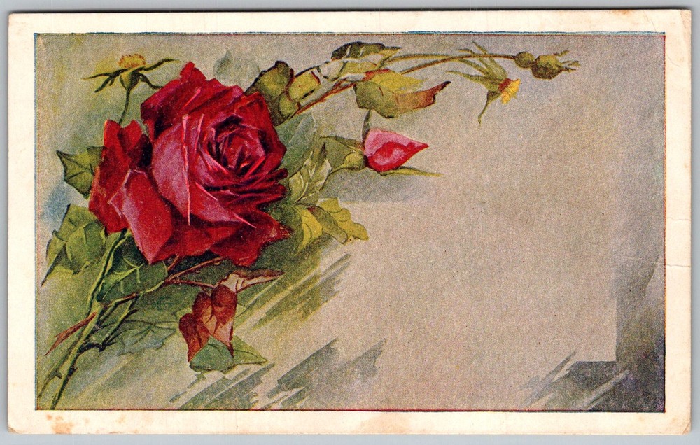 Antique Postcard Red Rose Bouquet 1910s