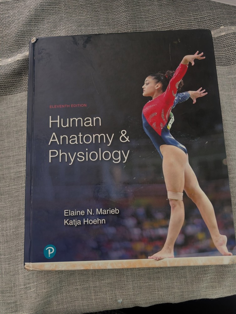 Human Anatomy and Physiology by Elaine Marieb and Katja Hoehn (2018, Hardcover)