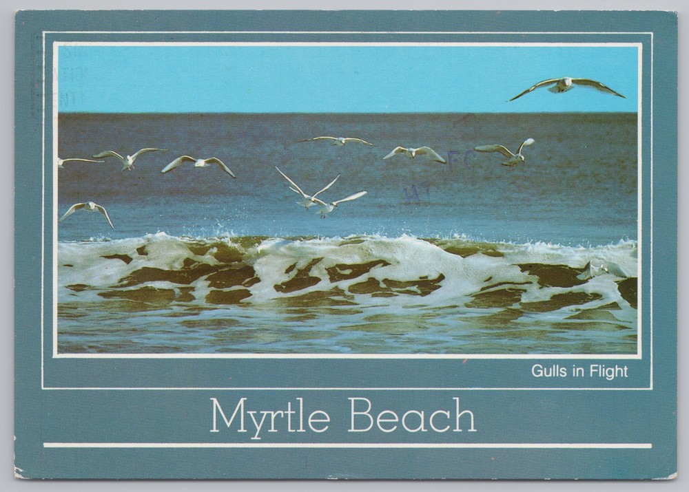 Myrtle Beach South Carolina~Sea Gulls Fly Over Surf~Continental Postcard
