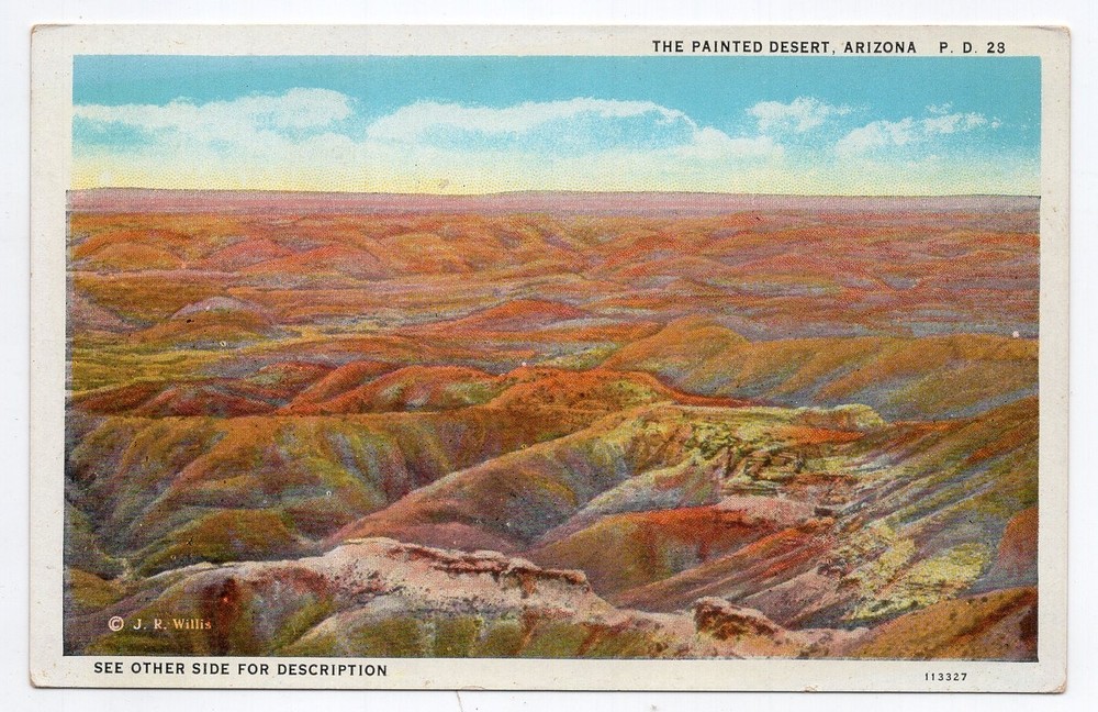1920s? WB - CLOSEOUT - Painted Desert - Arizona