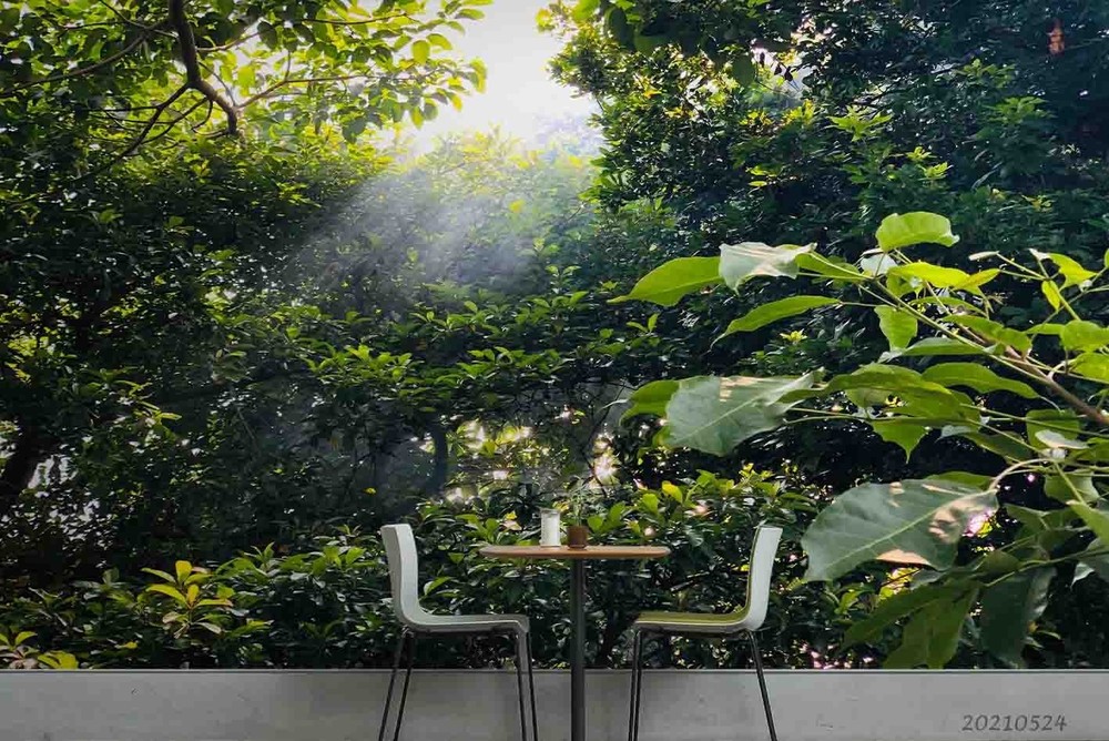 3D Forest Plants Landscape Wall Murals Wallpaper Murals Wall Sticker