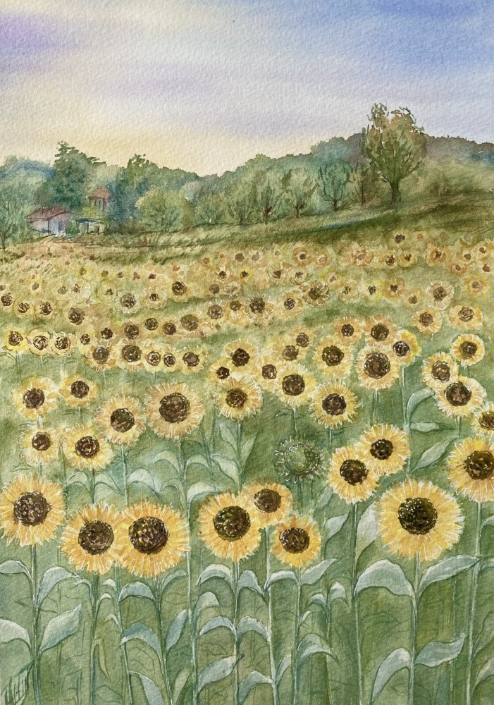 Sunflower Landscape Italy Watercolor Original Art Painting