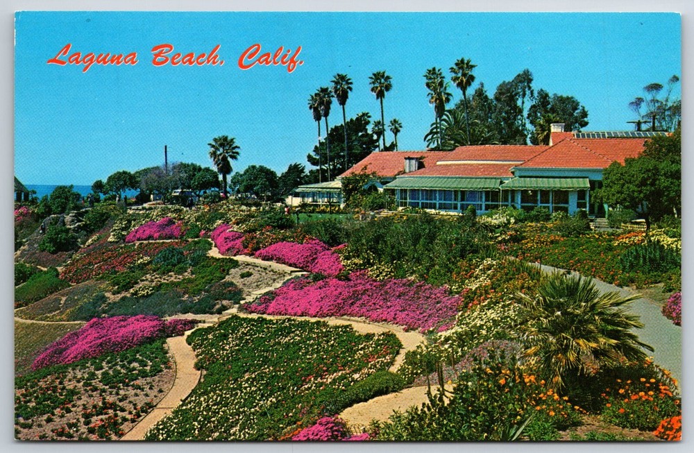 Laguna Beach California~Sloping Banks W/ Flowers @ Heisler Park~Vintage Postcard