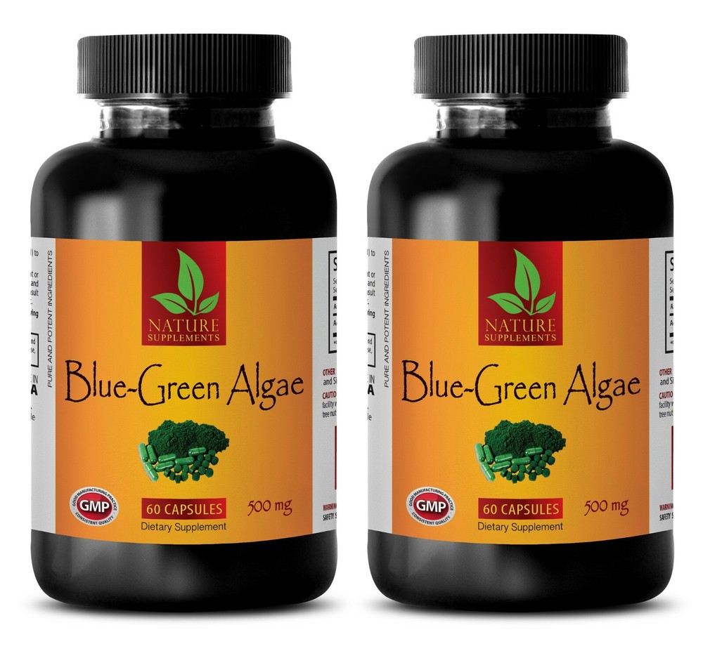 advanced antioxidant - ORGANIC BLUE GREEN ALGAE - healthy brain and focus 2 BOTT
