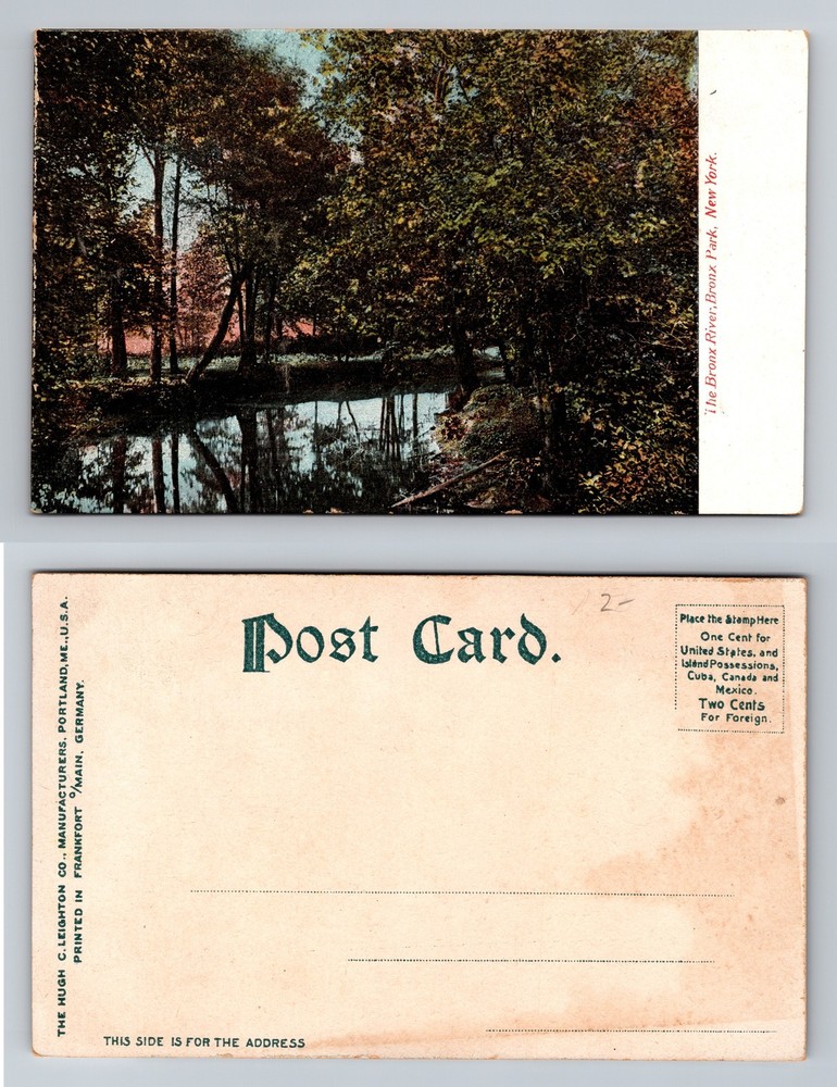 Bronx, NY-New York, Bronx River Scene in Bronx Park Vintage Postcard
