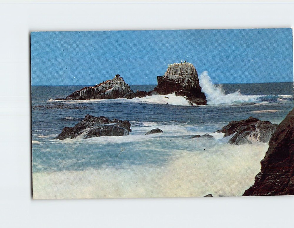 Postcard Seal And Bird Rocks Laguna Beach California USA