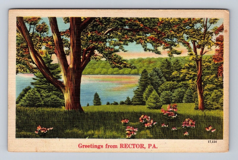 Rector PA-Pennsylvania, Greetings, Scenic Lake View, Vintage Postcard