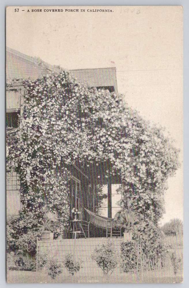 1908 Rose Covered Porch California Postcard Edward H. Mitchell
