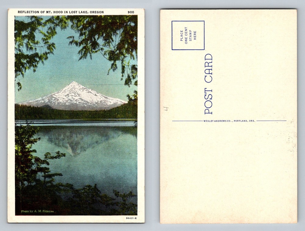 Lost Lake, OR-Oregon, Reflection of Mt Hood Scenic View Vintage Postcard