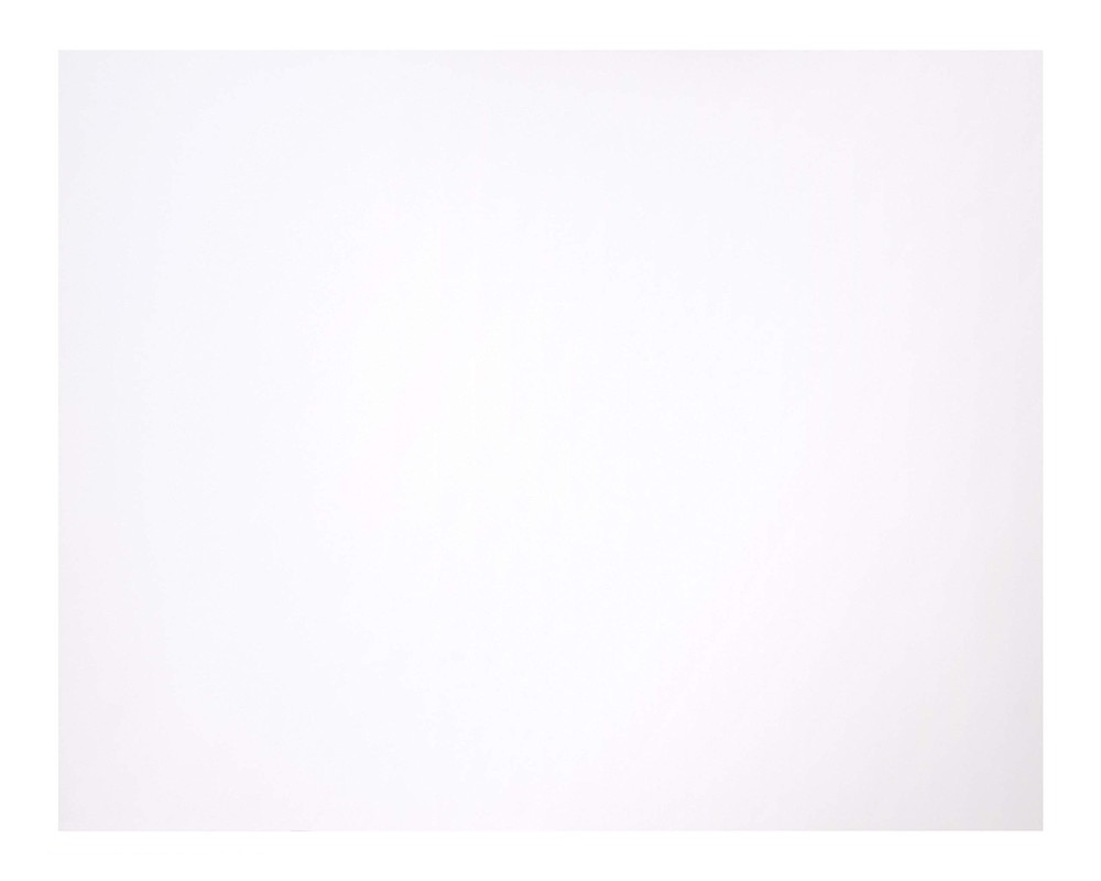 Coated Poster Board, White 14 pt., w/UPC Labels, 22