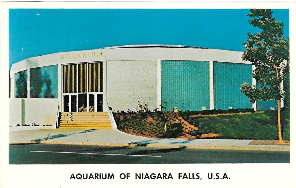 Vintage New York Chrome Postcard Niagara Falls Aquarium of Whirlpool Street