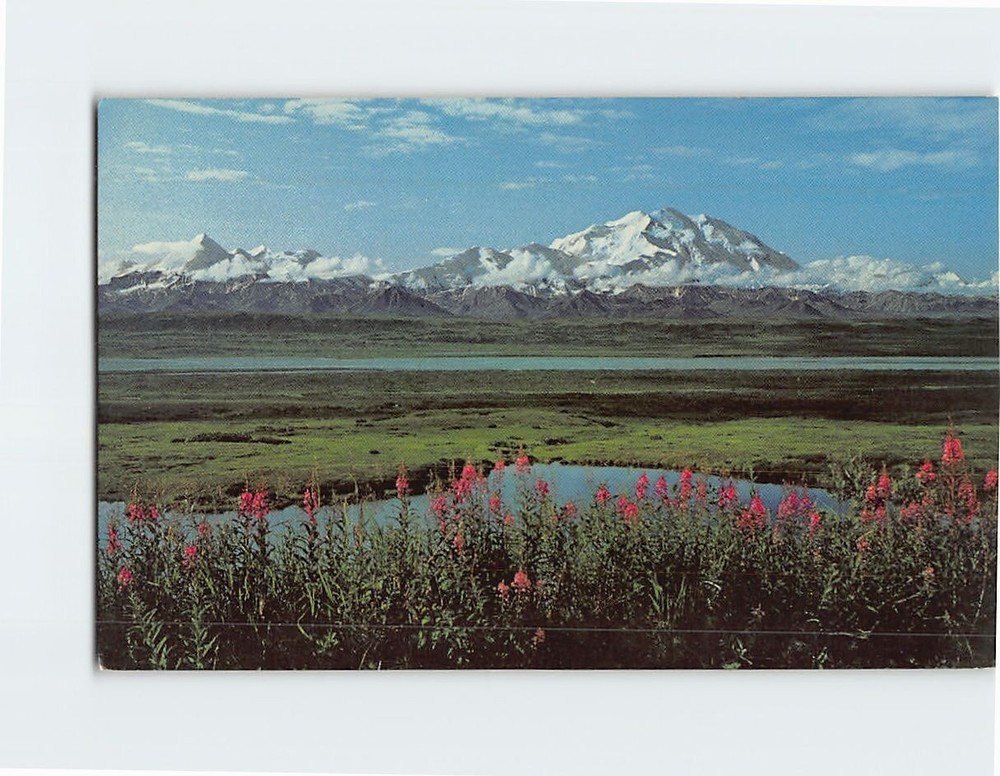 Postcard Alaska's Mt. McKinley