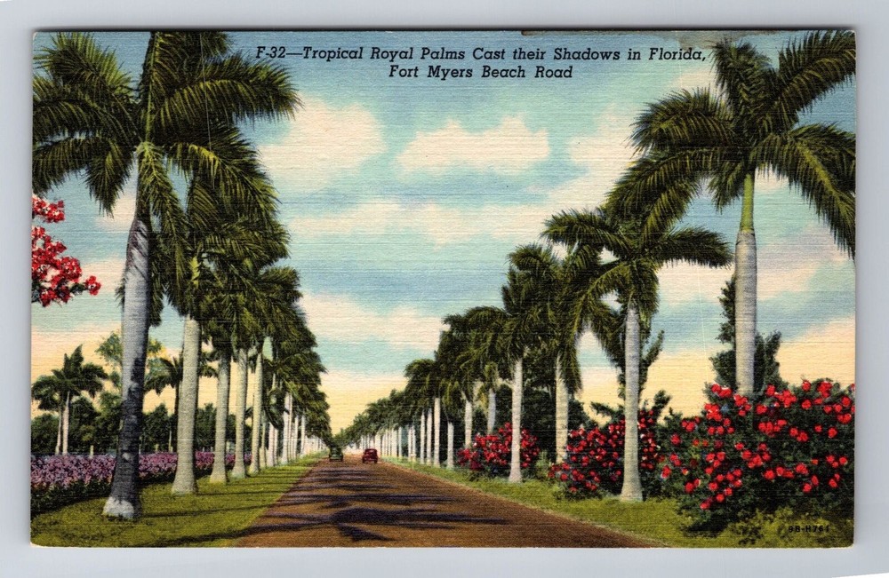 Fort Myers FL-Florida, Tropical Royal Palms, Antique Vintage Souvenir Postcard