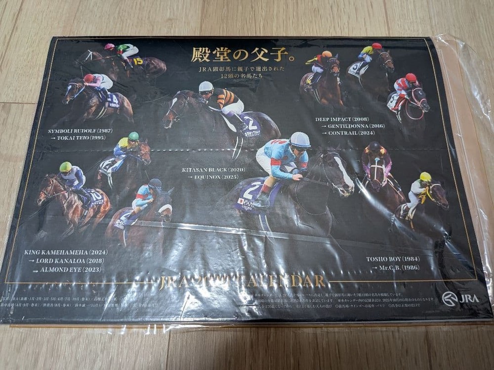 JRA 2026 Calendar Unopened Horse Racing Tribute Tokyo Dome