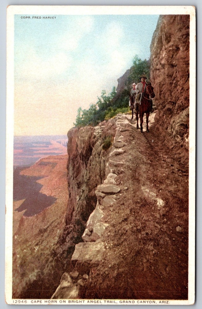 Detroit Pub~Arizona~Cape Horn On Bright Angel Trail @ Grand Canyon~Vtg Postcard