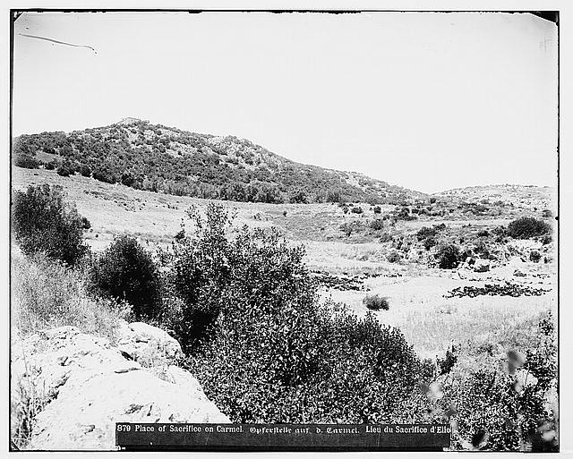 Place of Sacrifice on Mount Carmel,Middle East,American Colony Photo Dept