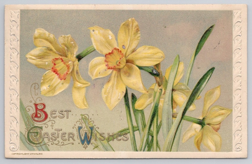 1911 Easter Postcard Daffodils John Winsch Newark NJ Posted Printed Germany