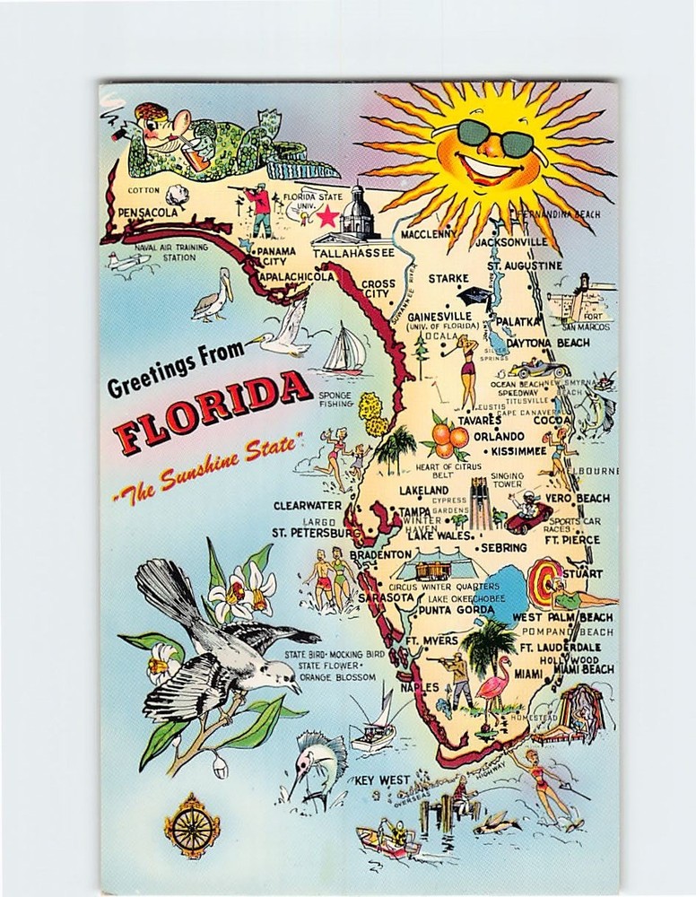 Postcard The Sunshine State Greetings From Florida USA