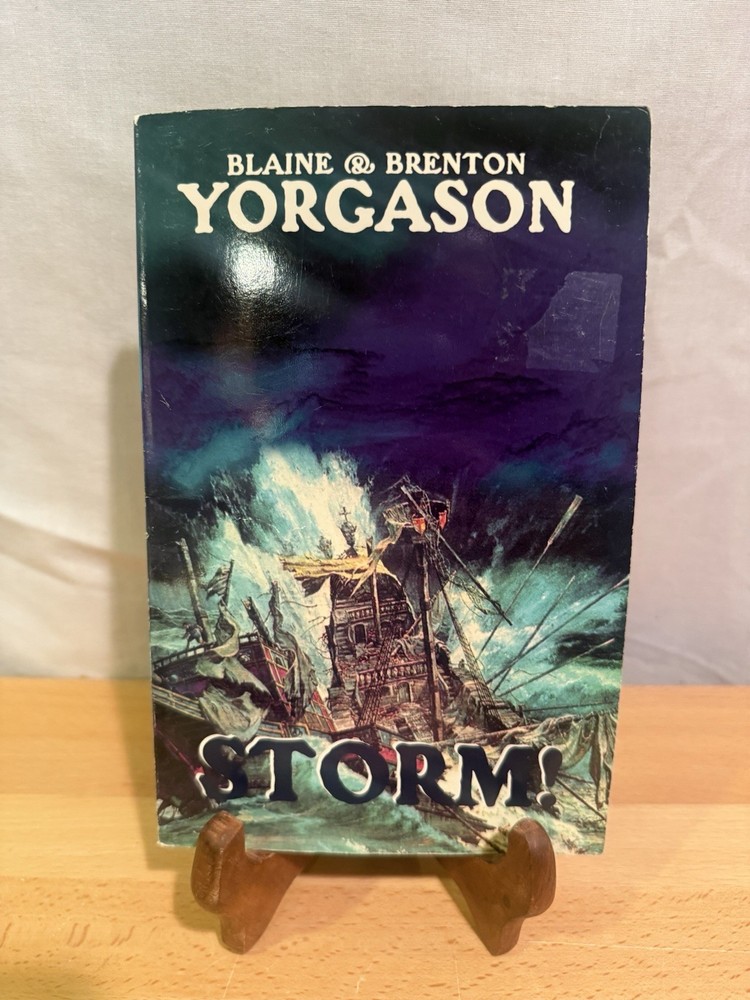 STORM A Novel by Yorgason, Blaine M & Brenton Pre Owned Paperback