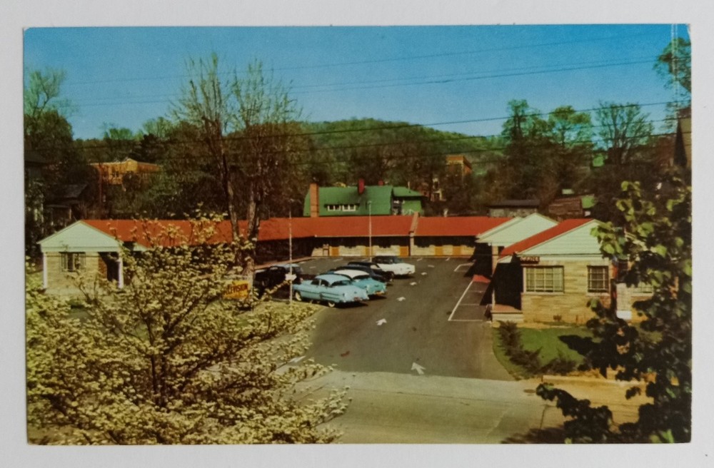 Vintage Rhododendron Court Motel Asheville NC Postcard 1960s Chrome Cars