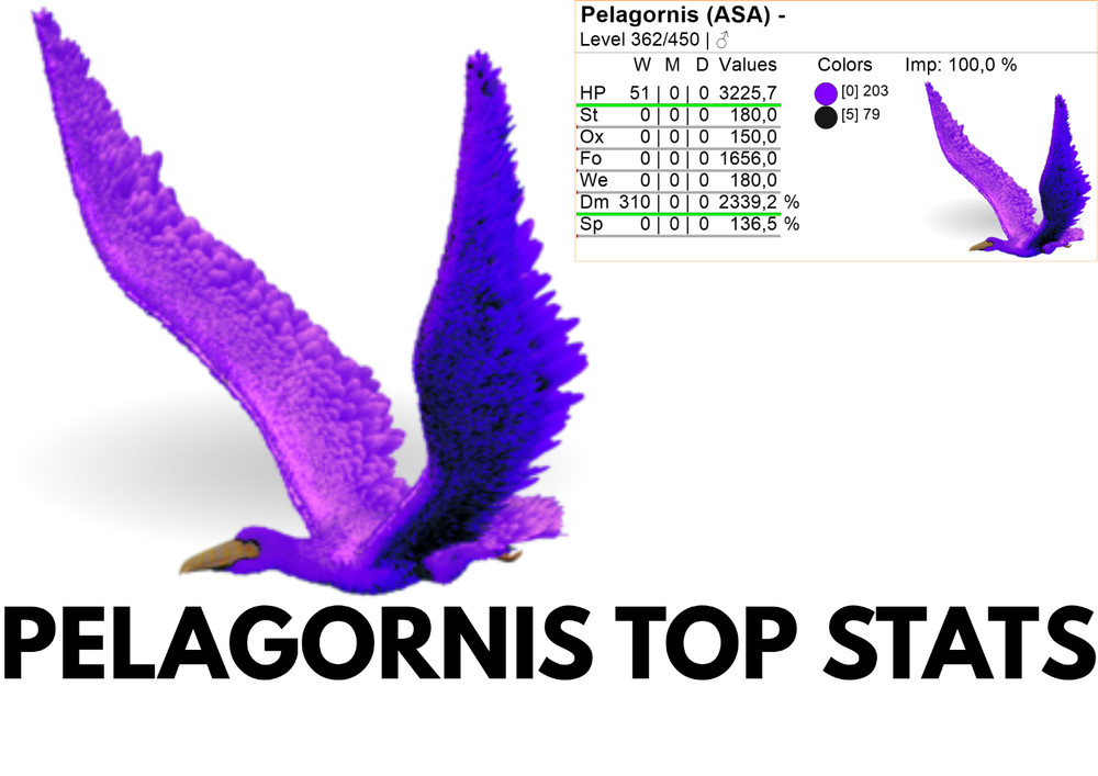 Pelagornis TOP STATS Ark Survival Ascended Official PVE
