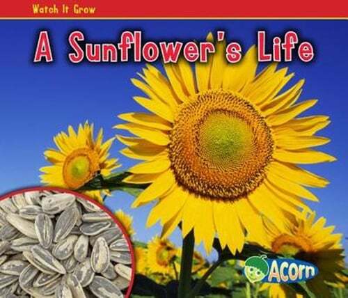 A Sunflower's Life by Nancy Dickmann: Used