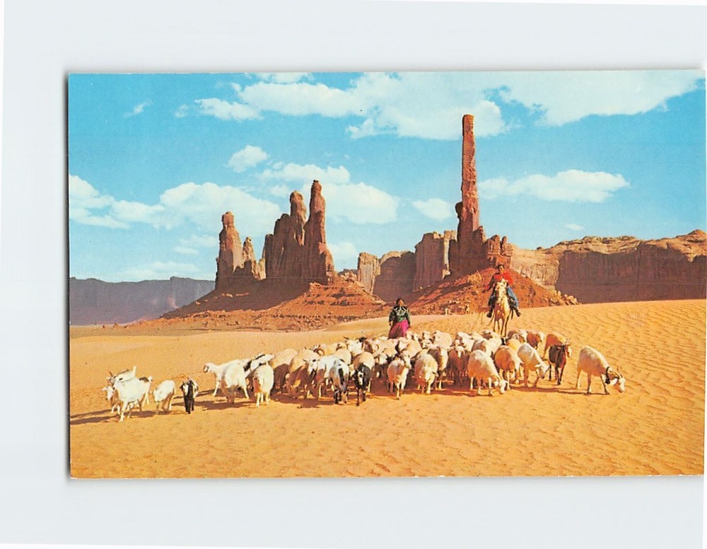 Postcard Navajo Women & Their Sheep Monument Valley Arizona USA