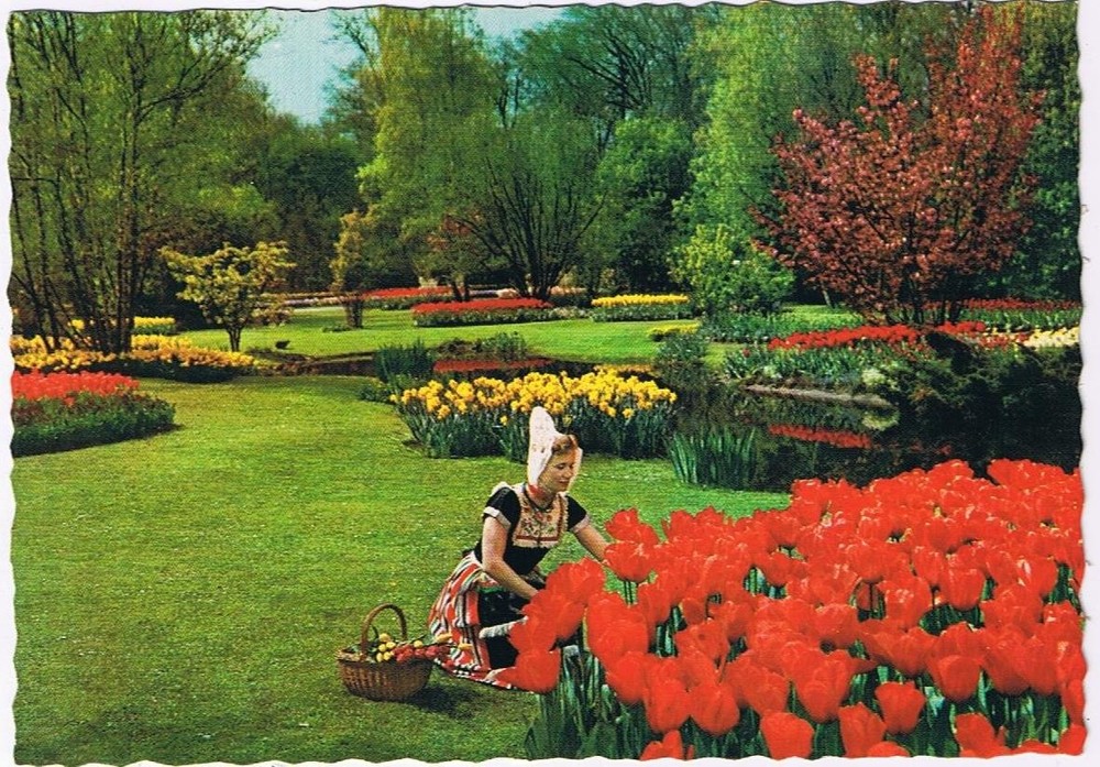 Netherlands Holland Postcard Tulip Gardens Dutch Costume