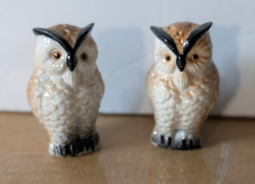 Vintage  Japan Bone China  Owls  Salt & Pepper Shakers
