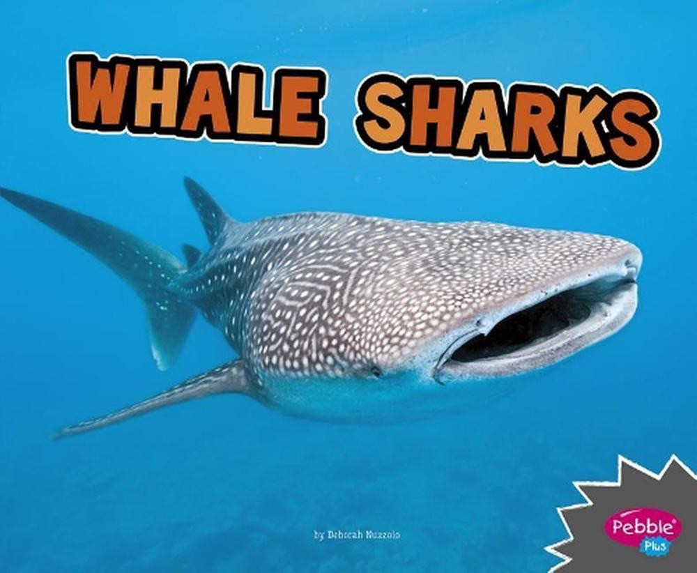 All About Sharks Whale Sharks by Deborah Nuzzolo (English) Paperback Book