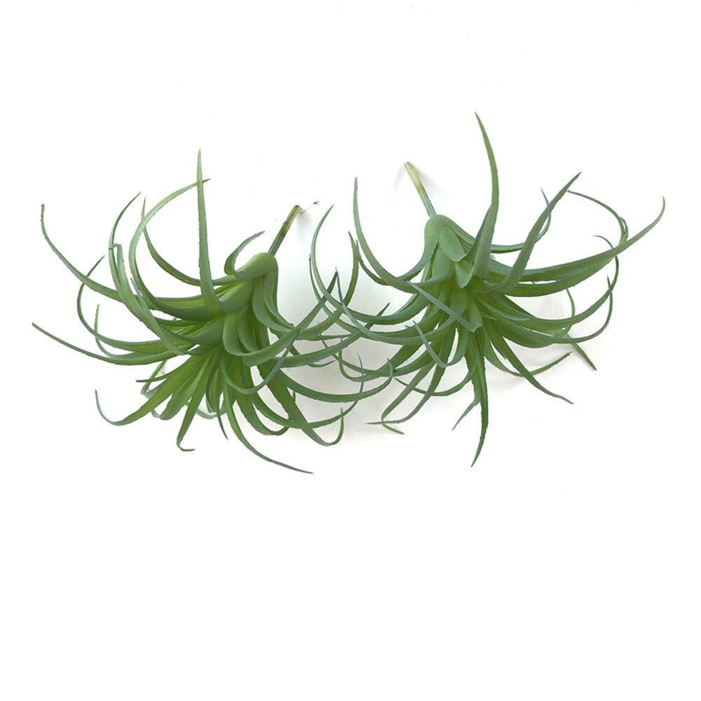 2 Unpotted Artificial Succulent Tillandsia Air Plants  