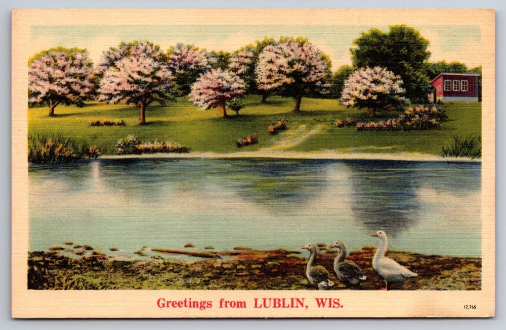 Postcard Greetings from Lublin Wisconsin USA Swans Ducks Lake View Unposted