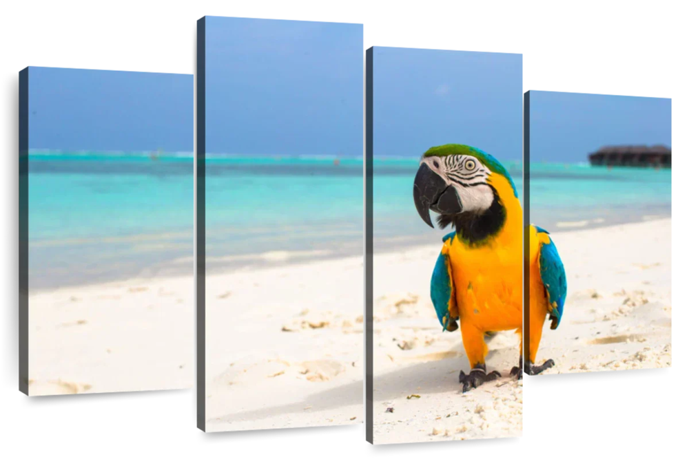 Parrot On Summer Day Wall Art