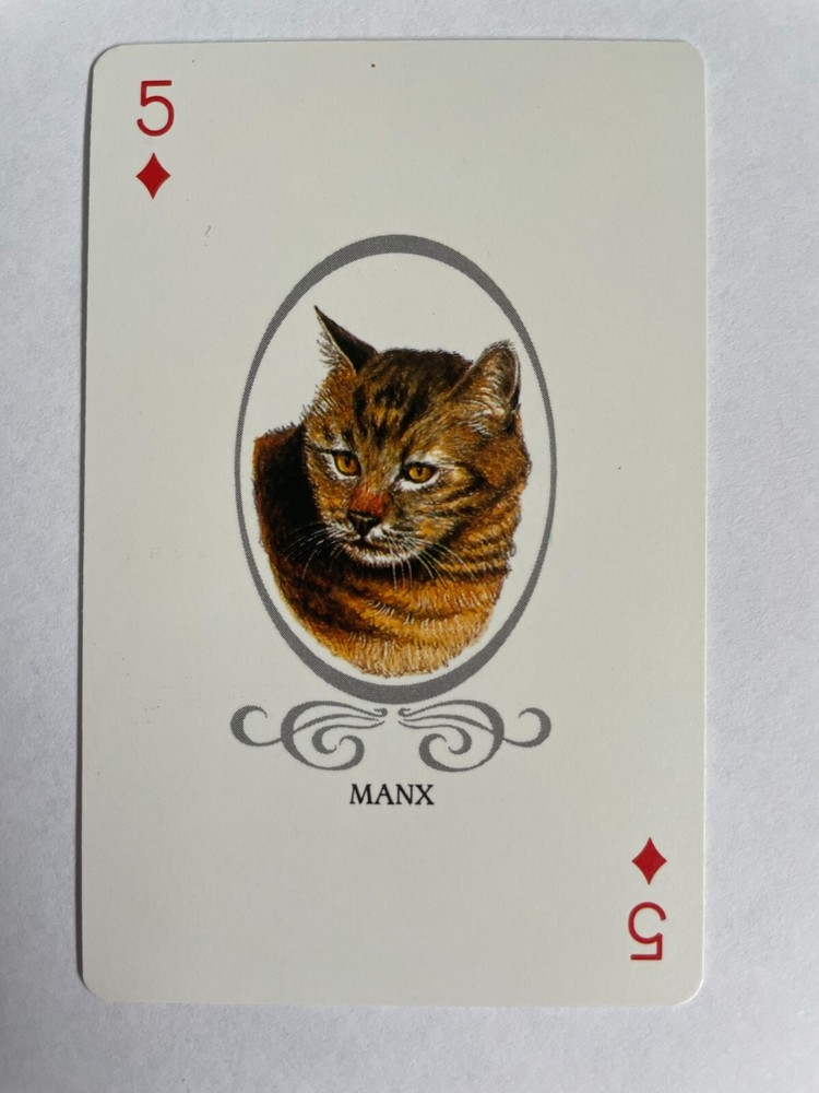 Manx Kitten Cat Portrait Artist Artwork Painting Art Vintage Playing Swap Card