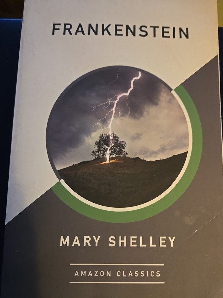 Frankenstein Paperback by Mary Shelley Amazon Classics Very Good Gothic Horror