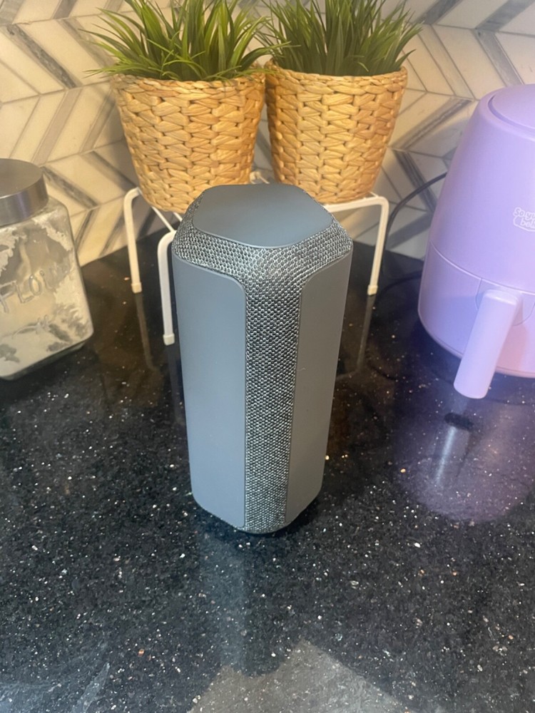 Sony SRS-XE300 Wireless Bluetooth Speaker with Powerful Sound in Black