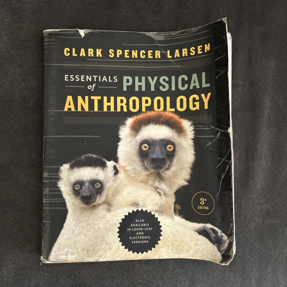Essentials of Physical Anthropology by Clark Spencer Larsen