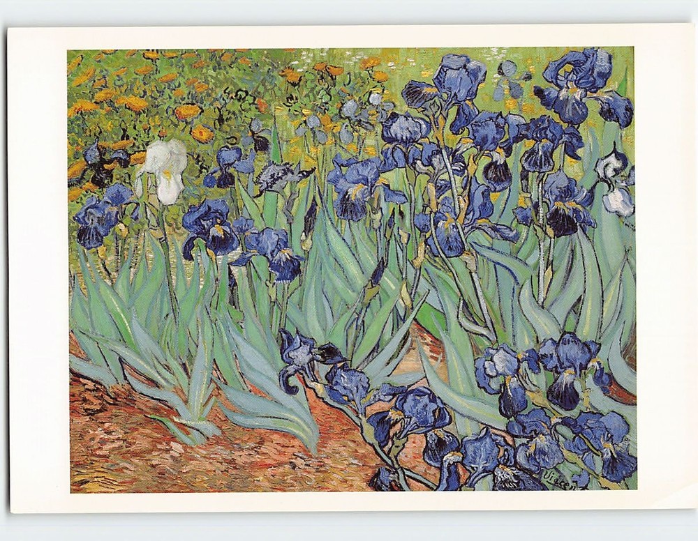 Postcard Irises Painting by Vincent Van Gogh