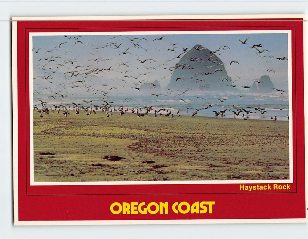 Postcard Haystack Rock and Seagulls Oregon Coast USA
