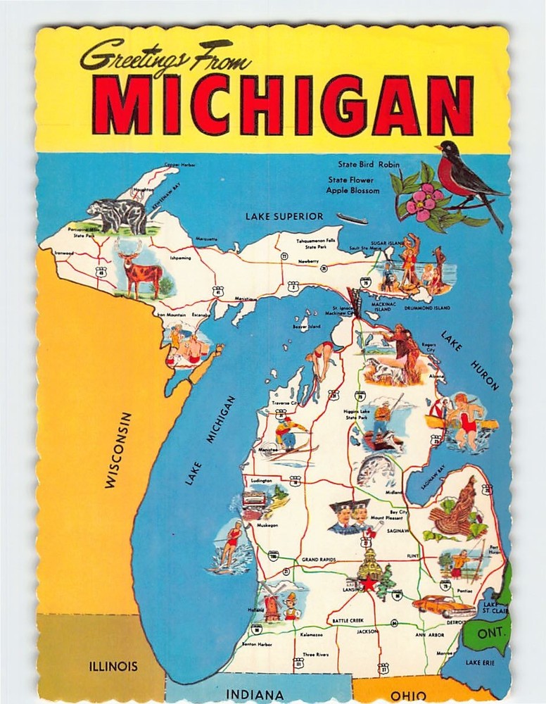 Postcard Greetings From Michigan USA
