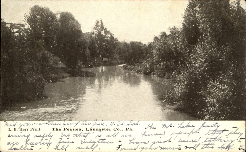 Pequea River ~ Lancaster County Pennsylvania PA ~ UDB postcard mailed 1906