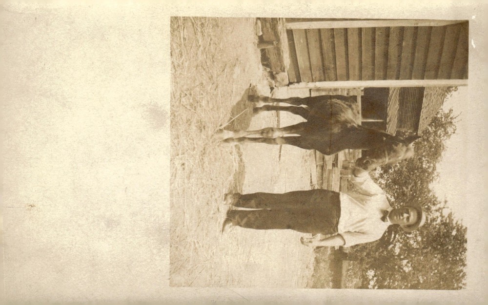 C1910 Rural Farm Man with Horse Portrait Antique Sepia RPPC Postcard