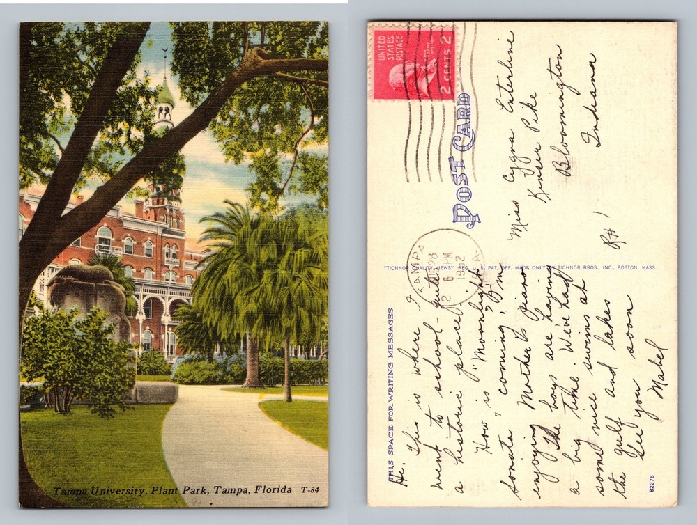 Tampa, FL-Florida, University Palm Trees Historic Scene Vintage Postcard