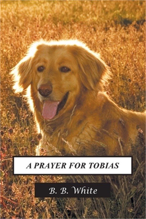 A Prayer for Tobias (Paperback or Softback)
