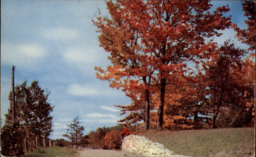 Michigan Autumn Glory colors ~ 1950s-60s vintage postcard sku943