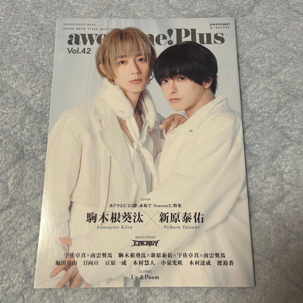 awesome! Plus Vol.42 Aoi Komagine Taisuke Niihara magazine Japan