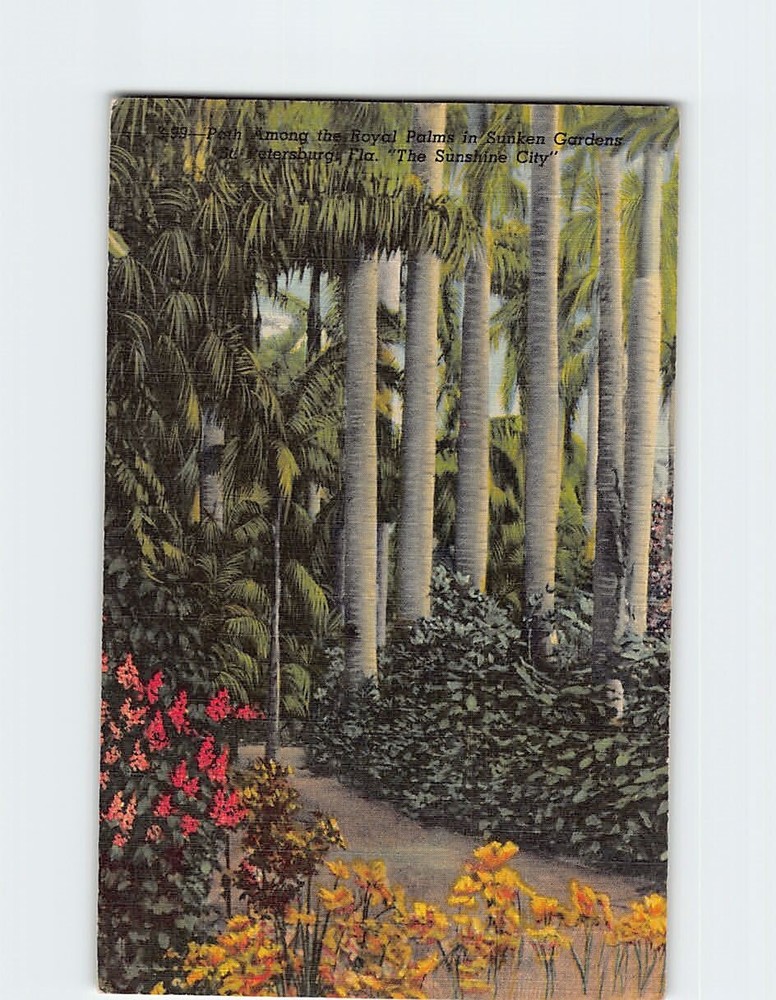 Postcard Path Among the Royal Palms in Sunken Gardens, St. Petersburg, Florida