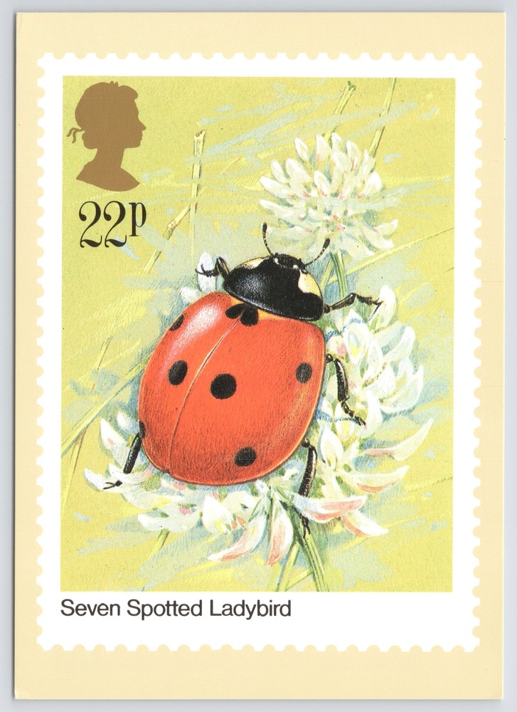 Animal~7 Spotted Ladybird-Gordon Beningfield~Stamp Design~Continental Postcard